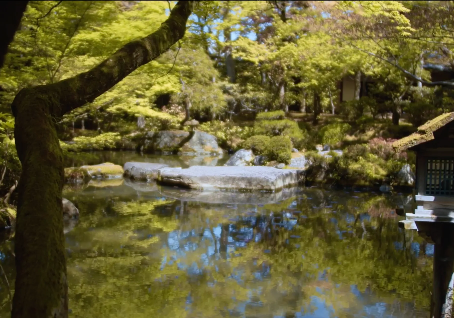清流亭の庭園と池