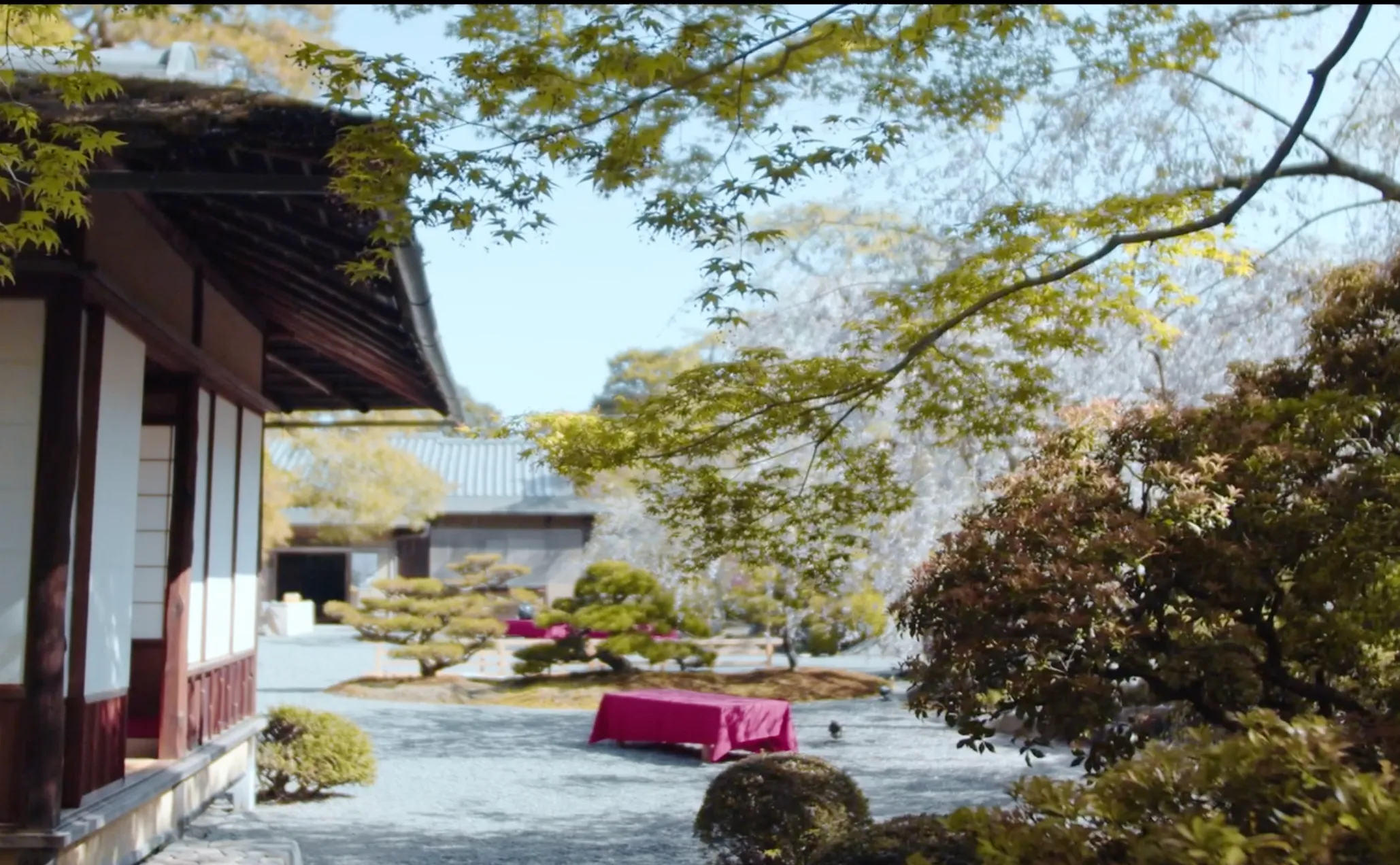 春の中庭